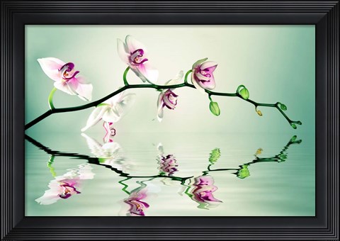 Framed Zen Print