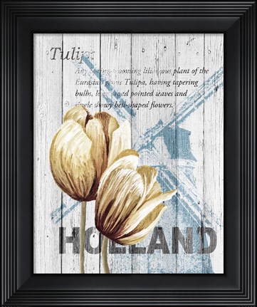 Framed Holland Tulips Print