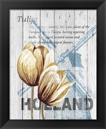 Framed Holland Tulips Print