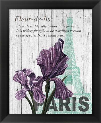 Framed Paris Iris Print