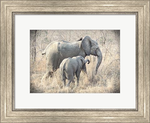 Framed Elephants Print