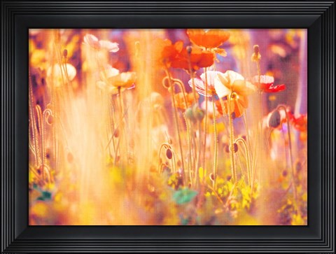 Framed I Am Alice Print