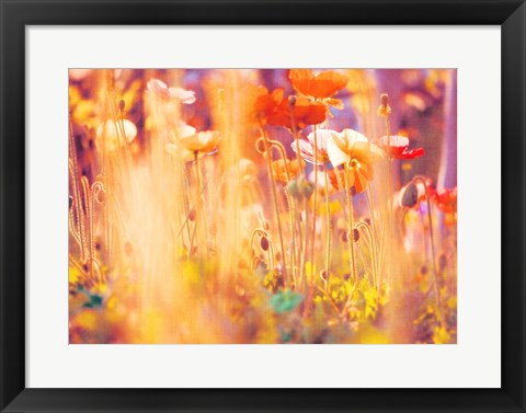 Framed I Am Alice Print