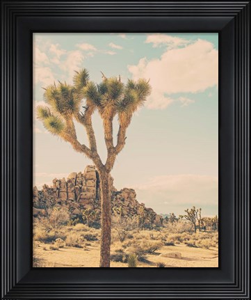 Framed JT Print