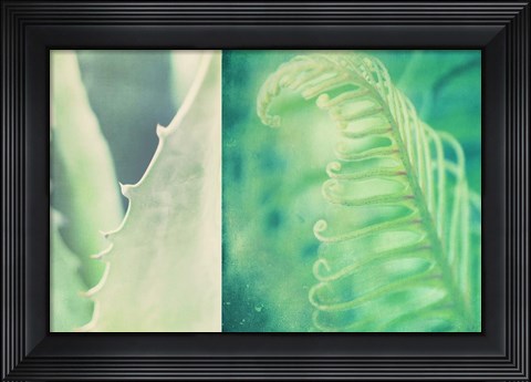 Framed Mint Print