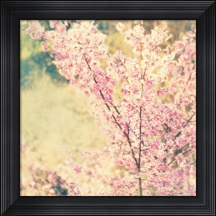 Framed Oh To Be a Bumblebee No. 2 Print