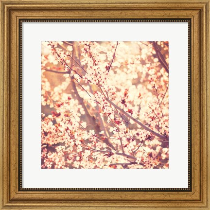 Framed Oh To Be a Bumblebee No. 3 Print