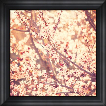 Framed Oh To Be a Bumblebee No. 3 Print