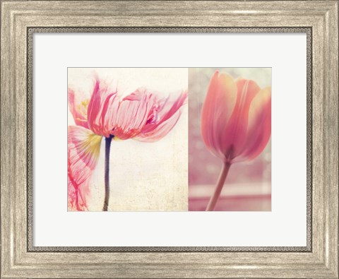 Framed Poppy &amp; Tulip Print