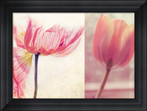 Framed Poppy &amp; Tulip Print