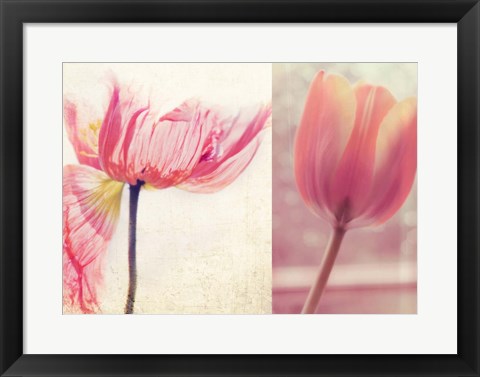 Framed Poppy &amp; Tulip Print