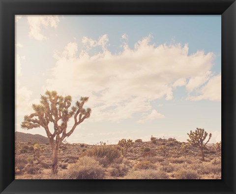 Framed Sunshine &amp; Joshua Trees Print