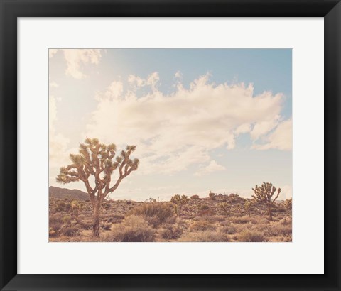 Framed Sunshine &amp; Joshua Trees Print