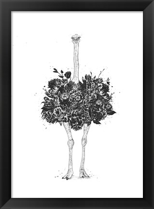 Framed Floral Ostrich Print