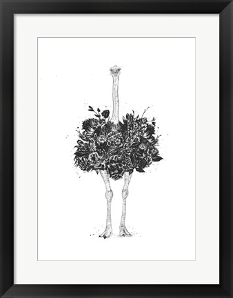 Framed Floral Ostrich Print