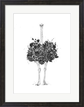 Framed Floral Ostrich Print