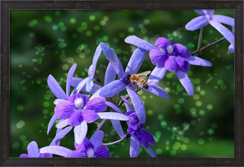 Framed Bee and Purple Flowers Print