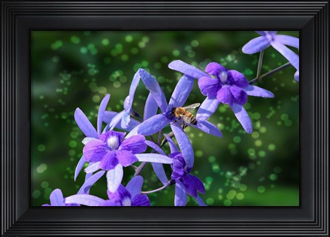 Framed Bee and Purple Flowers Print