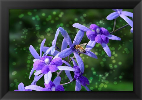 Framed Bee and Purple Flowers Print