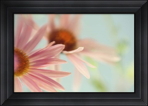 Framed Daisy Days Print