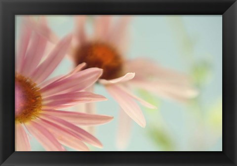 Framed Daisy Days Print