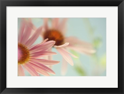 Framed Daisy Days Print