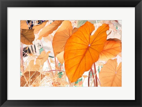 Framed Elephant Ears Print