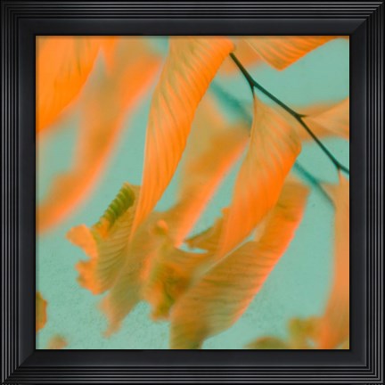 Framed Fern Dance 1 Print