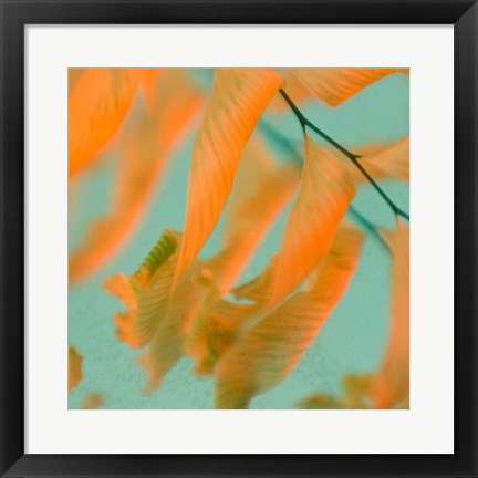 Framed Fern Dance 1 Print