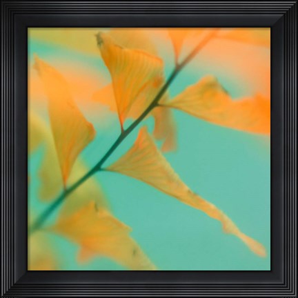 Framed Fern Dance 2 Print