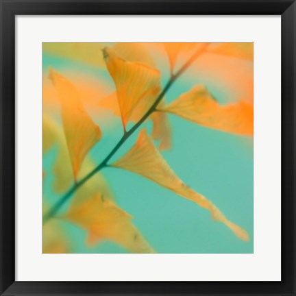 Framed Fern Dance 2 Print