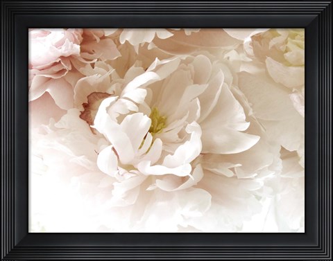 Framed Froth Print