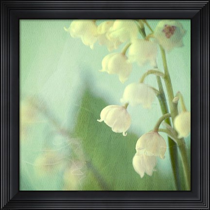 Framed Lily of the Valley Print