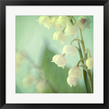 Framed Lily of the Valley Print