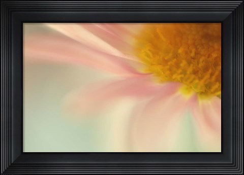 Framed Whisper Print