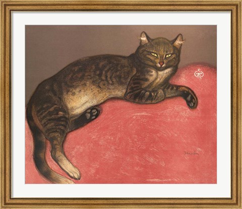 Framed Cat on a Cushion Print