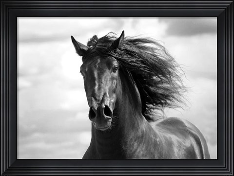 Framed Breath of Life Print