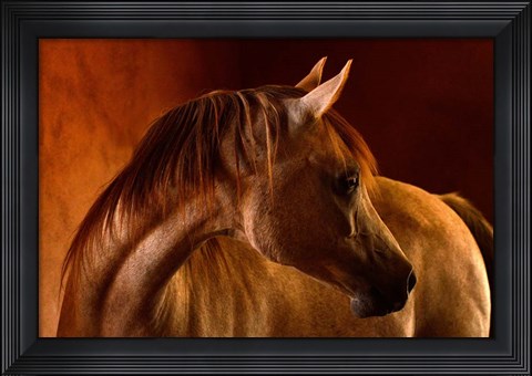 Framed Clay Print