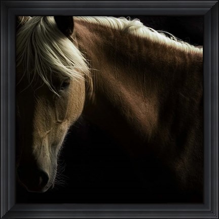 Framed Spirit Horse Print
