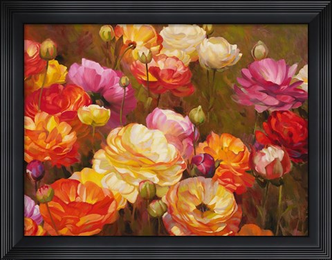 Framed Ranunculus Garden Print