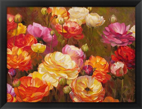 Framed Ranunculus Garden Print