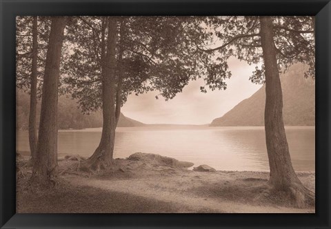 Framed By the Lake Print