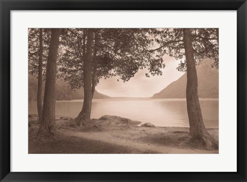 Framed By the Lake Print