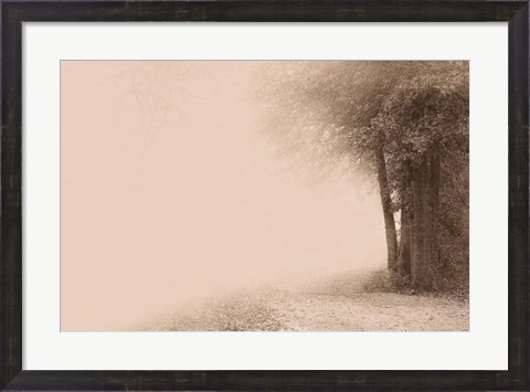 Framed Gate to Infinity Print