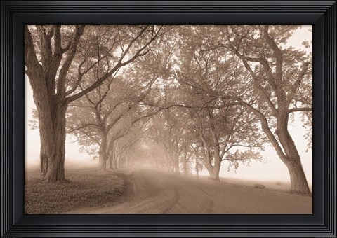 Framed Guardians of the Road Print