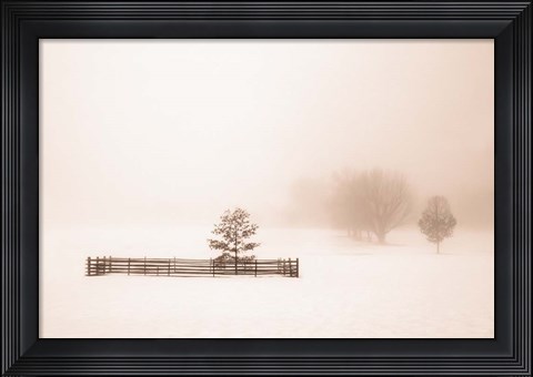 Framed Isolated Print