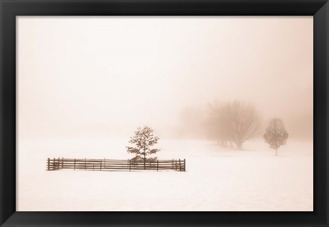 Framed Isolated Print