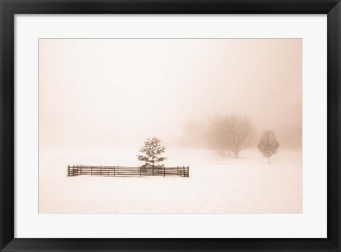 Framed Isolated Print