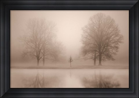 Framed Family Print