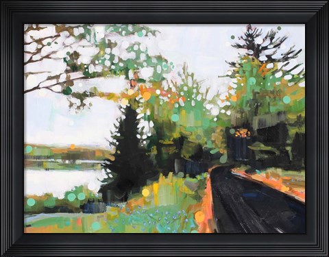 Framed Star Splitter Print